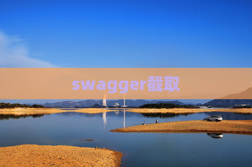 swagger截取